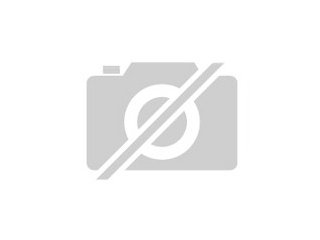 LED-Platinum-Ohrlampe-Die Taschenlampe der Zukunft